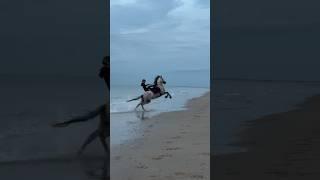 Beach-Fail #fail #action #beach #beachride