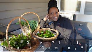 It's Been So Long | Harvesting | Overwintering Pepper Plants | Animal Care (Giving Props)