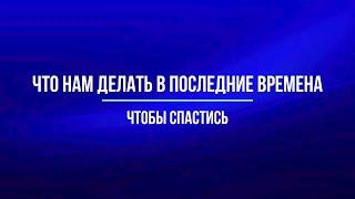 Что нам делать в последние времена, чтобы спастись