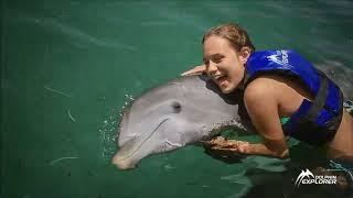 Punta Cana • FUNTASTIC · DOLPHIN EXPLORER