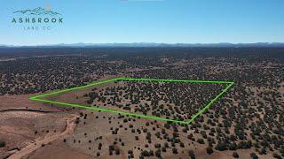 Arizona Land for Sale • 41 Acre Wooded Off-Grid Homestead next to BLM Land • Ashbrook Land Co