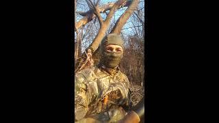 Najbolji Lov na patke/Best of Duck hunting