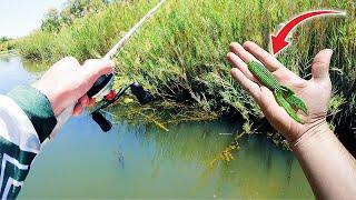 Catching Summer Bass In Reeds With Creature Baits | Flipping & Pitching