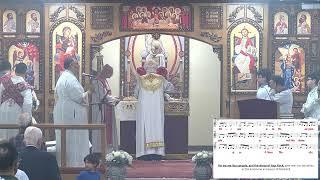 St Luke ACOC Live Stream