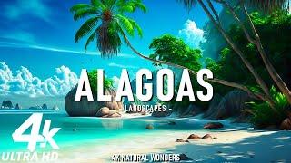 Alagoas 4K - Pristine Beaches, Turquoise Waters, and the Serenity of Brazil’s Hidden Paradise