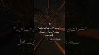peere kamil #aabehayat #trendingshorts #trend #novel #farrukhsanavoice #urdu