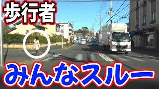 殆ど横断歩道の歩行者に気付かないよな　この子は親の躾がいいんだろうな