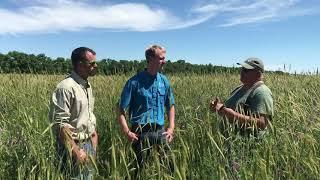  Gabe Brown’s Most Profitable Crop & Understanding Regenerative Agriculture