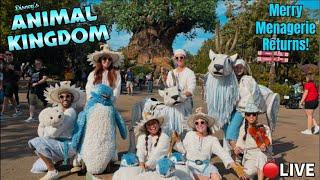 LIVE: Disney’s ANIMAL KINGDOM! Merry Menagerie, Holiday Characters, SANTA! Disney World Live Stream