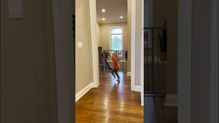 6 Animals ATTACK TODDLER (Toddler Gets REVENGE!)