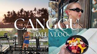 I MOVED TO CANGGU! bali weekly vlog | shopping, driving lessons, villa tour & more! travel capsules