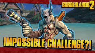 The Hardest Borderlands 2 Challenge Was Just Completed!