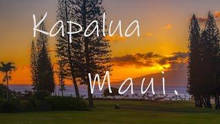 Kapalua, Maui - Ultimate Golf Course Luxury Homes! Pineapple Hill