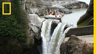 After Largest Dam Removal in U.S. History, This River Is Thriving | National Geographic