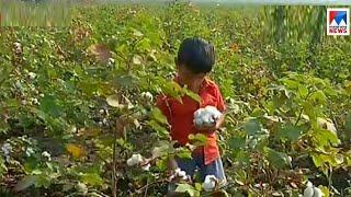 Child labor affect badly to the childhoods of Gujarat