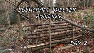 Bushcraft shelter building. Day 2