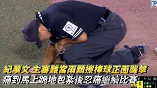 紀華文 主審難當兩顆擦棒球正面襲擊 痛到馬上跪地包紮後忍痛繼續比賽 CPBL中華職棒 中信兄弟 vs台鋼雄鷹