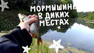 МОРМЫШИНГ x ПЛОТВА И КРАСНОПЁРКА x МАЛАЯ РЕКА, ДИКИЕ МЕСТА #14