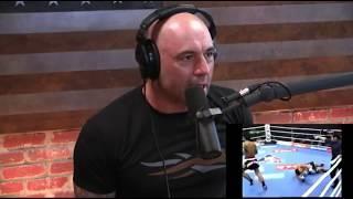 Joe Rogan on Combat Sports & Brain Damage