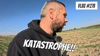 Vlog #276 Rapeseed disaster! Do I have to break it down?