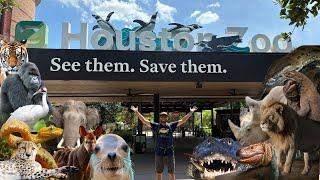 BEST ZOO in TEXAS !? | Houston Zoo Tour