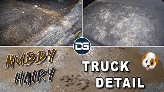 Transforming a FILTHY Work Truck! | The Detail Geek