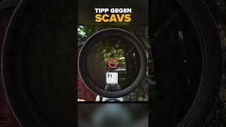 Scavs besser orten mit diesen Trick in Tarkov!