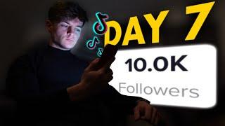 I Tried Growing A TikTok Theme Page From 0 - 10K Followers In 7 days