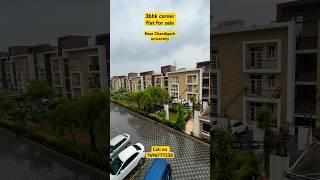 3bhk flat for sale near Chandigarh university ||#flatsforsale #luxuryhomes #viralvideo #viralshorts