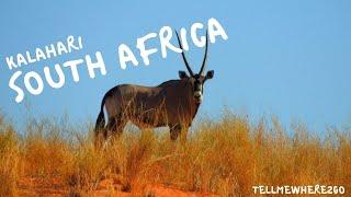 Kalahari Desert, South Africa