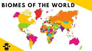 Biomes of World-(Desert-Rainforest-Taiga-Deciduous Forest-Grasslands-Savanna-Tundra)