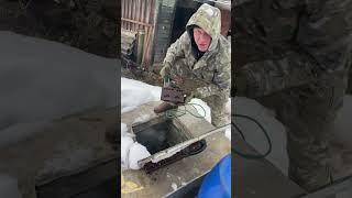 Они нашли клад ???как считаете правда? #клад #сокровище #коп #металлоискатель #интрига история