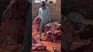 Pakistan's Special Wedding Food Preparation | Mutton and Beef Qorma for Guest