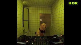 DJ Woof | Dog | HÖR Berlin - December 17 / 2024