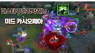 마스터 구간 양학 가능한 미드 카시오페아