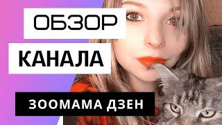 Зоомама Дзен - Обзор канала