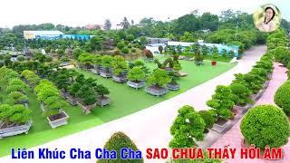 Liên Khúc Nhạc Sống Sao Chưa Thấy Hồi Âm | Thanh Ngân - Gia Tiến