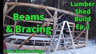 Lumber Shed Build Ep.  #3