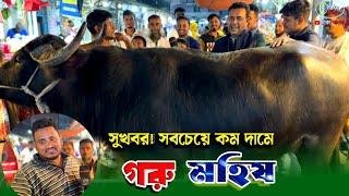 সুখবর! এবার আরো কম দামে গরুও মহিষ! beef price in Bangladesh