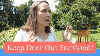 A Simple Deer PROOF Garden!