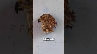 "쓰레기로 만든 예술?! 가까이 보면 깜짝 놀랄 조각상의 정체"