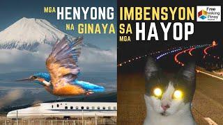 BIOMIMICRY | Human Invention Copied from Animals | Imbensyon na Ginaya Natin sa mga Hayop