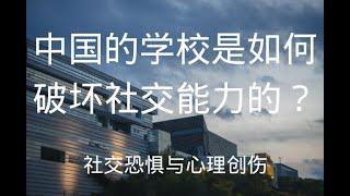 为什么社交恐惧越来越流行？中国的学校是怎样抑制学生的社交能力的？