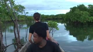 Zanzibar Life: ZALA Park. Mangrove Forest Tour in dugout canoe