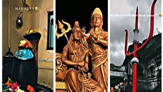 mere shambhu mere sang rehna statusmahadev status video bholenath status#mahadevstatus