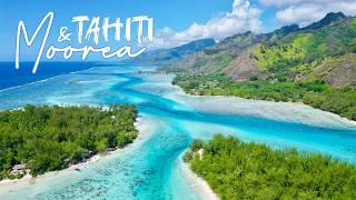 Swimming with Whales in Moorea and Tahiti | Complete Guide | French Polynesia