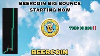 BEERCOIN BIG BOUNCE STARTING NOW IN NOVEMBER 2024‼️ BEER COIN WILL BE HUGE IN BULL MARKET ATTENTION