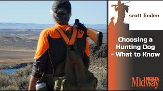 Choosing a Hunting Dog - What to Know | Scott Linden