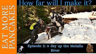 How far will I make it? Dual Sport riding up the Molalla River in Oregon on my Africa Twin