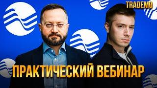 Торговля на TradeMo -- Практический вебинар по процессингу